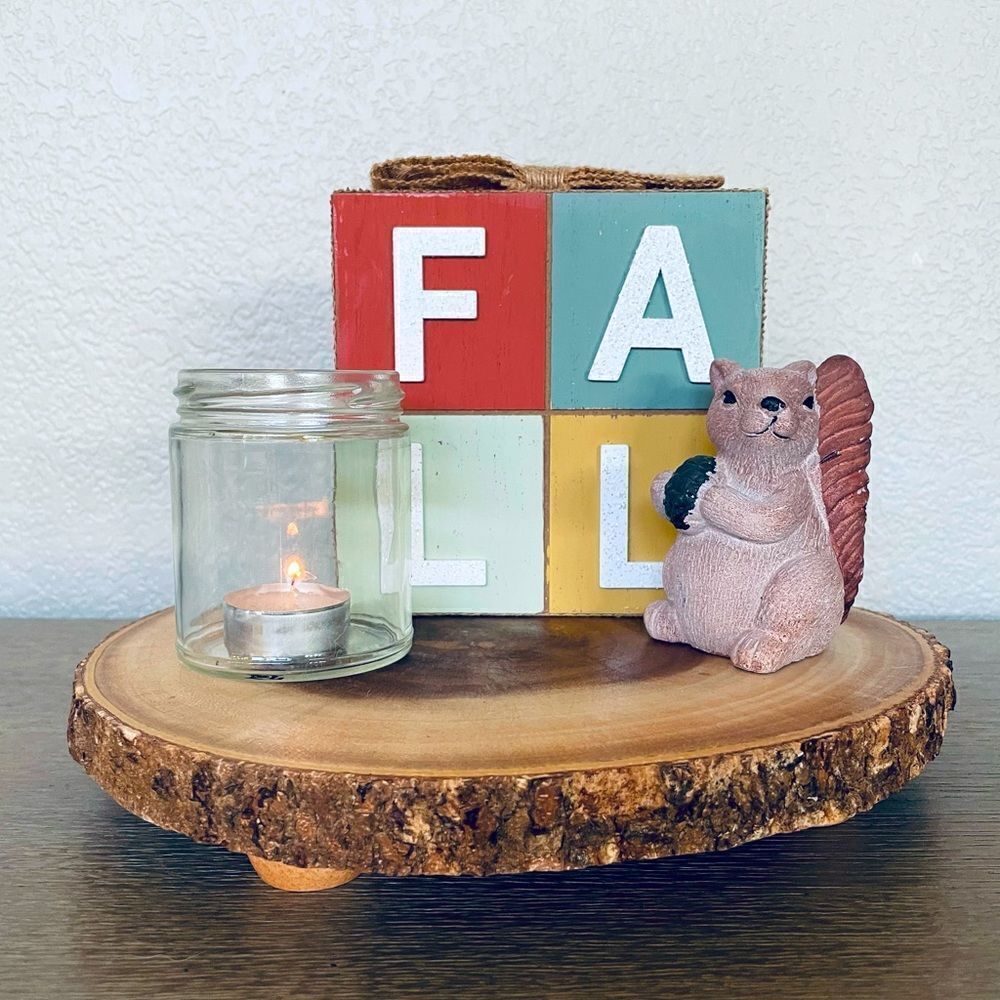 Fall Squirrel Centerpiece Table Decor Tray Set
